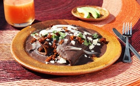 Pinto Bean Enfrijoladas