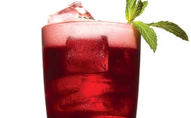 Raspberry Snakebite